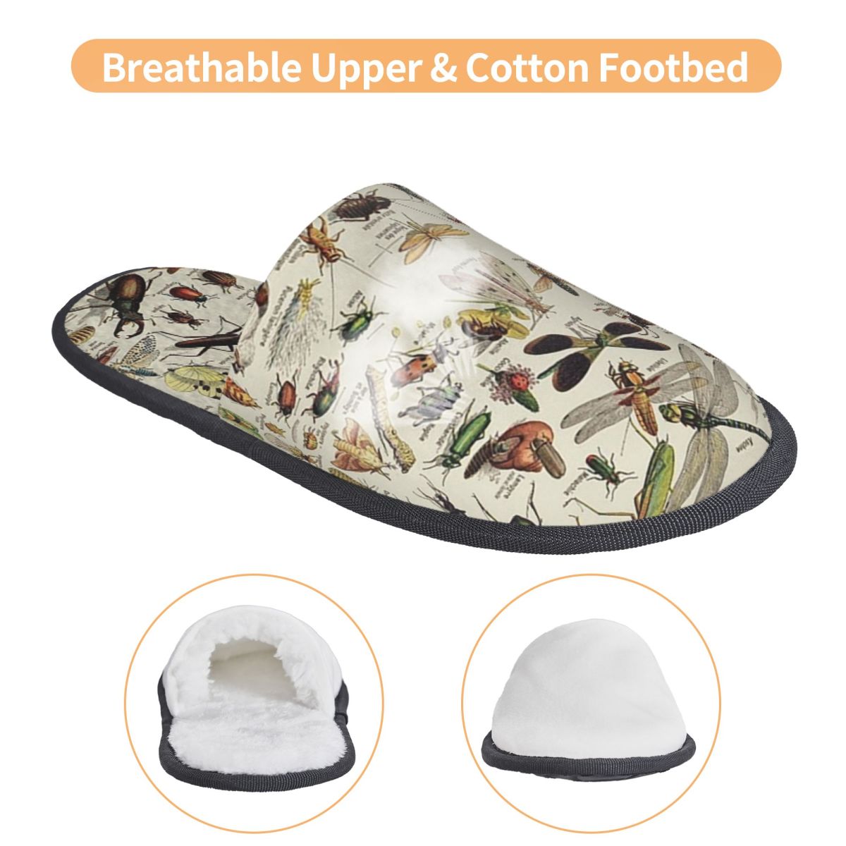 Insects Chart. Scientific Illu - Shoes Women Chart 评论和价格
