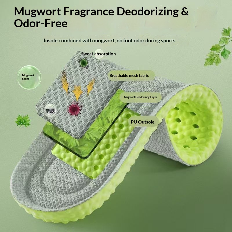 Wormwood Anti Odor Insoles for - Women'S Shoes For Standing All Day 评论和价格