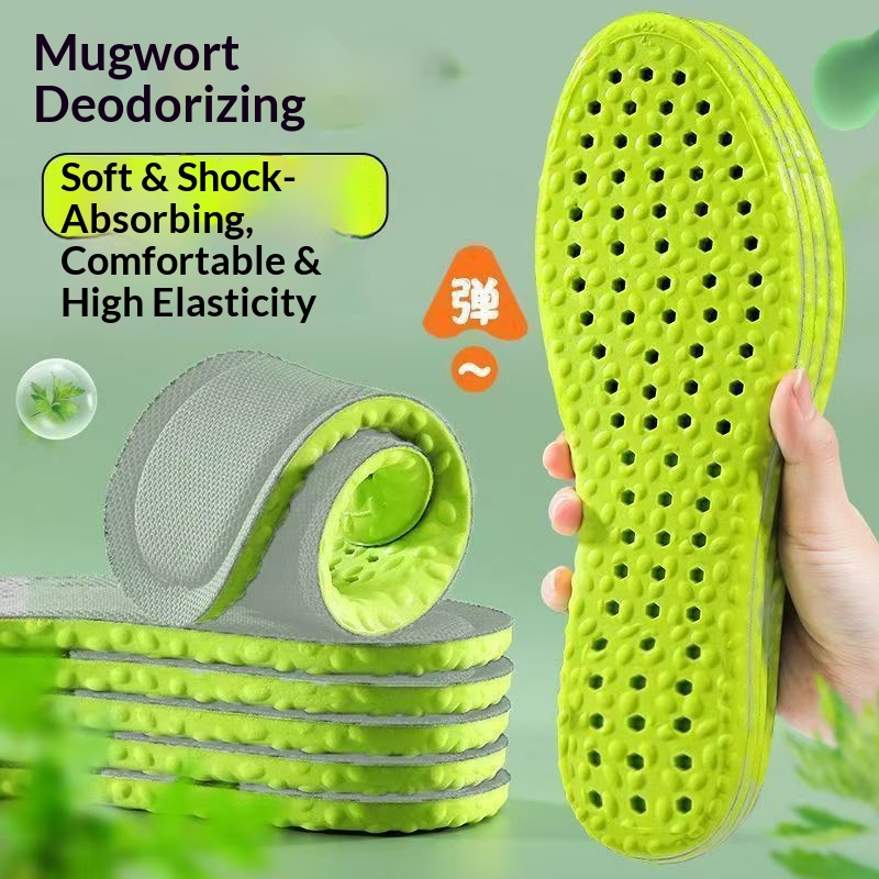 Wormwood Anti Odor Insoles for - Women'S Shoes For Standing All Day 评论和价格
